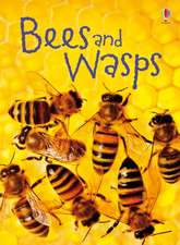 Bees and Wasps