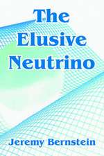 The Elusive Neutrino