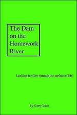 The Dam on the Homework River