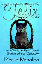 Felix Prince of Cats and Mitch the Great Storm of the Century