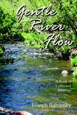 Gentle River Flow