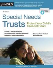 Special Needs Trusts: Protect Your Child's Financial Future