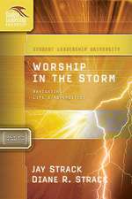 Worship in the Storm: Navigating Life's Adversities