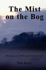 The Mist on the Bog: An Irish Boyhood