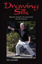 Drawing Silk: Masters' Secrets for Successful Tai Chi Practice