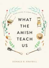 What the Amish Teach Us – Plain Living in a Busy World