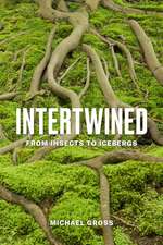 Intertwined – From Insects to Icebergs