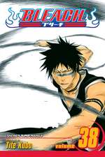 Bleach, Volume 38