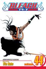 Bleach, Volume 44