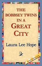 The Bobbsey Twins in a Great City