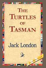 The Turtles of Tasman