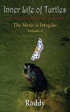 The Meter Is Irregular, Volume 3 - Inner Life of Turtles: A Story of Experience