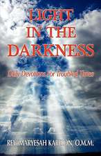 Light in the Darkness; Daily Devotions for Troubled Times: A Journey Beneath the Surface