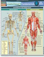 Anatomy Fundamentals