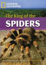 The King of the Spiders