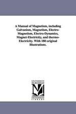 A Manual of Magnetism, Including Galvanism, Magnetism, Electro-Magnetism, Electro-Dynamics, Magnet-Electricity, and Thermo-Electricity. with 180 Ori