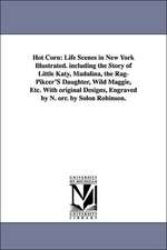 Hot Corn: Life Scenes in New York Illustrated. Including the Story of Little Katy, Madalina, the Rag-Pikcer's Daughter, Wild Mag