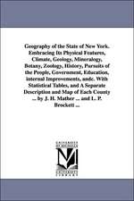 Geography of the State of New York. Embracing Its Physical Features, Climate, Geology, Mineralogy, Botany, Zoology, History, Pursuits of the People, Government, Education, internal Improvements, andc. With Statistical Tables, and A Separate Description an