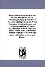 The Great Conflagration. Chicago: Its Past, Present and Future. Embracing A Detailed Narrative of the Great Conflagration in the North, South, and West Divisions: ... Also, A Condensed History of Chicago, Its Population, Growth and Great Public Works. and