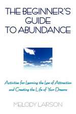 The Beginner's Guide to Abundance