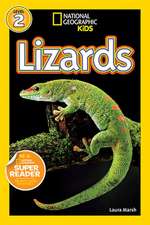 Lizards