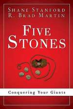 Five Stones: Conquering Your Giants