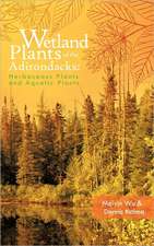 Wetland Plants of the Adirondacks