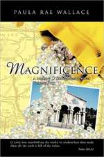 Magnificence a Mallory O'Shaughnessy Novel