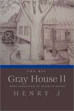 The Big Gray House II