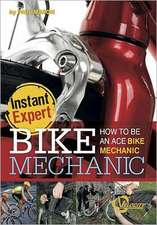 Bike Mechanic