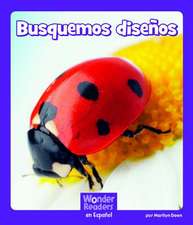 Busquemos Diseños (Finding Patterns)
