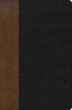 KJV Personal Size Giant Print Bible, Black/Brown Leathertouch, Indexed