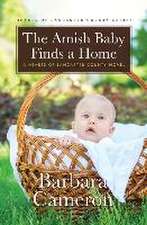 The Amish Baby Finds a Home: A Hearts of Lancaster County Novel