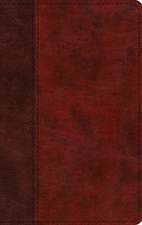 ESV Large Print Thinline Bible (TruTone, Burgundy/Red, Timeless Design)