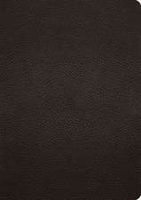 ESV Study Bible, Large Print