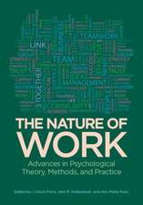 The Nature of Work – Advances in Psychological Theory, Methods, and Practice