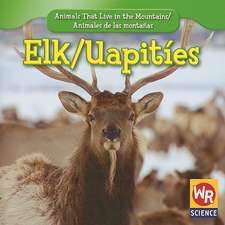 Elk/Uapities