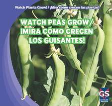 Watch Peas Grow!/Mira Como Crecen Los Guisantes!