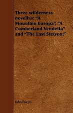 Three Wilderness Novellas: A Mountain Europa, a Cumberland Vendetta and the Last Stetson.