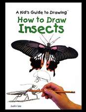 How to Draw Insects