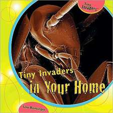 Tiny Invaders in Your Home