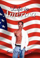 Mey, S: Life in America