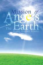 Mission of Angels on the Earth