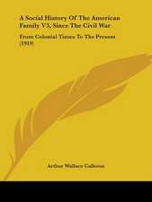 A Social History Of The American Family V3, Since The Civil War