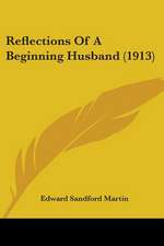 Reflections Of A Beginning Husband (1913)