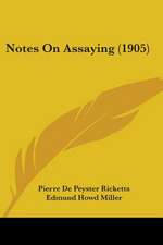 Notes On Assaying (1905)