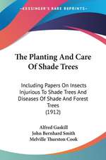 The Planting And Care Of Shade Trees