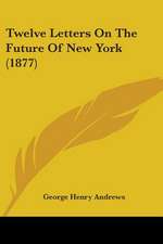 Twelve Letters On The Future Of New York (1877)