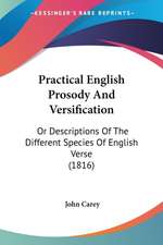 Practical English Prosody And Versification