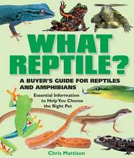 What Reptile?: A Buyer's Guide